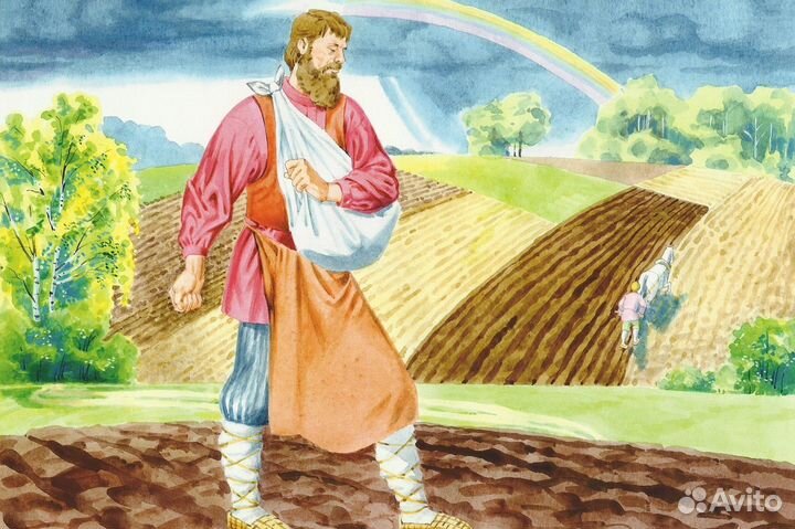 Пшеница яровая