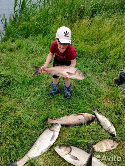 Технопланктон