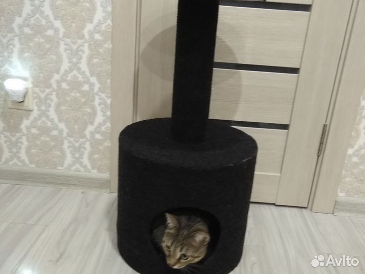 Домик для кошки