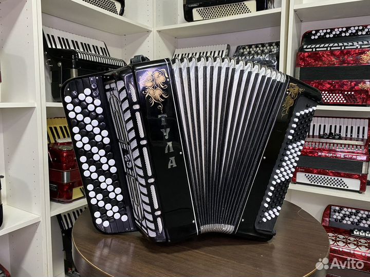 Баян Тула 209