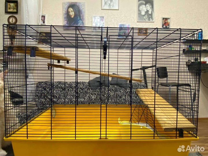 Клетка для грызунов бу (кролики, морские свинки)