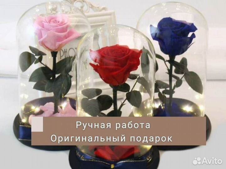 Живая роза в колбе