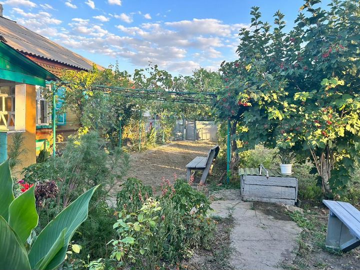 Дом 50,2 м² на участке 33 сот.