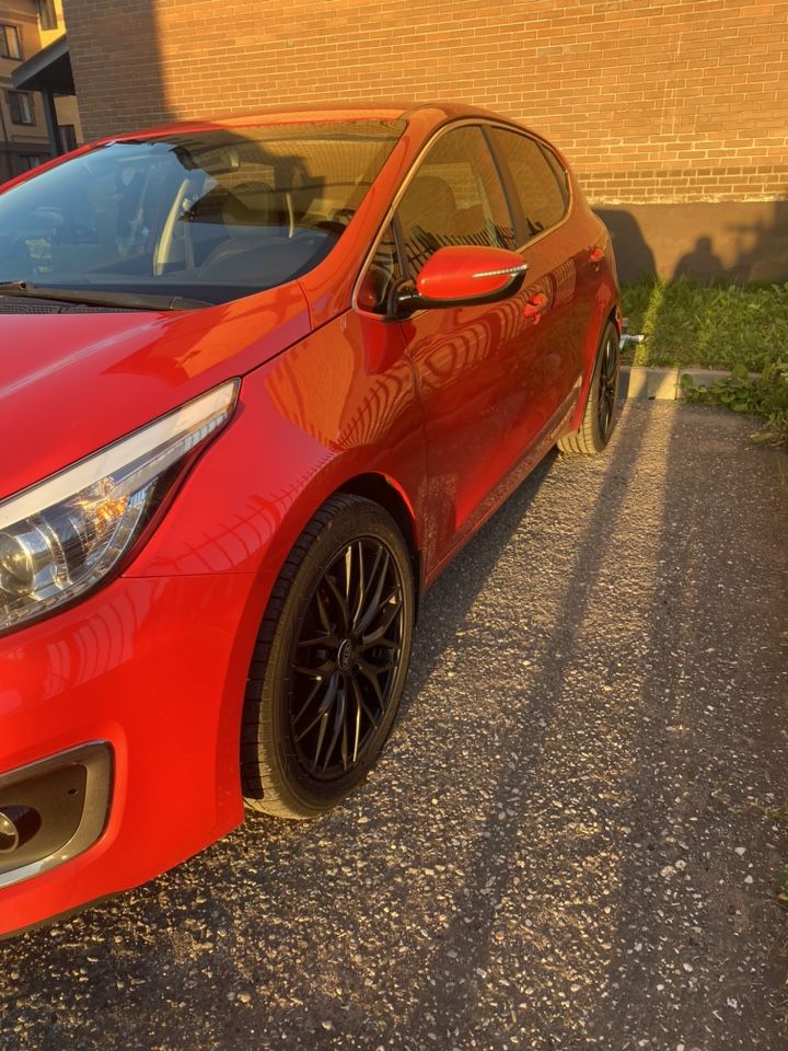 Kia Ceed: фото владельца