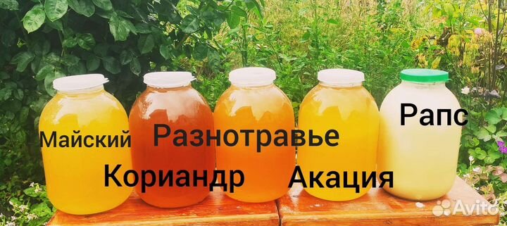 Мёд натуральный,акация,майский кориандр,мед