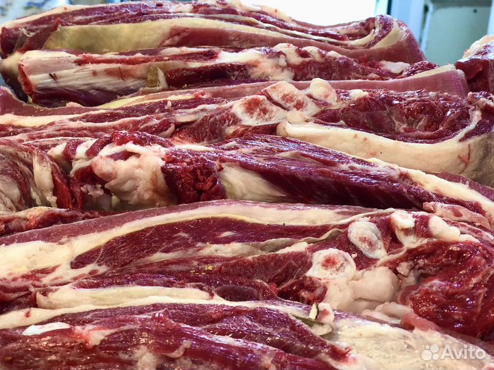 Продам мясо конины
