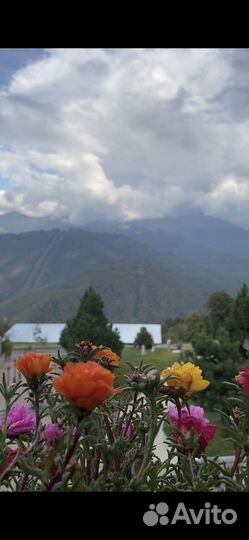 Видеосъемка видеограф