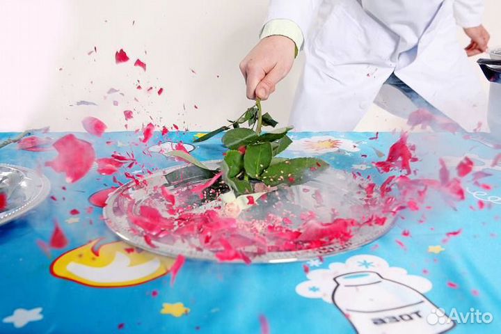 Аниматоры, химическое шоу, бумажное шоу