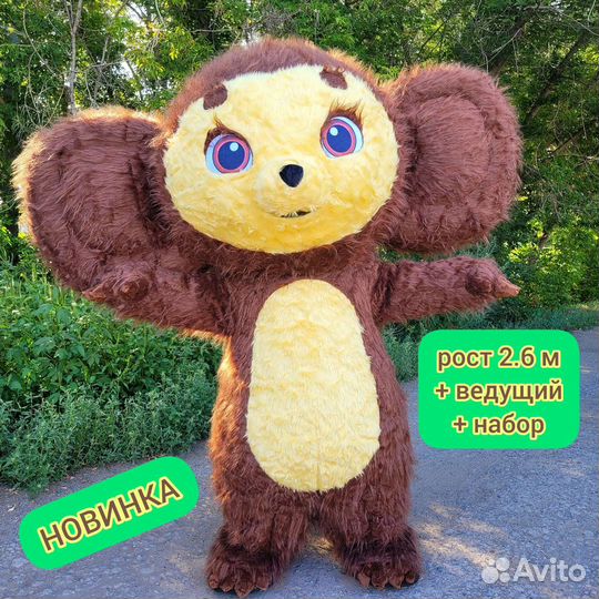 Ростовые куклы поздравление