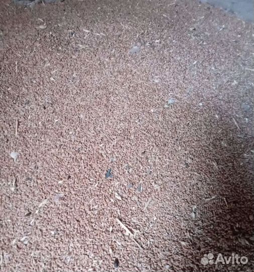 Соя, Рожь яровая на корм