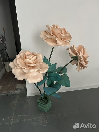 Декоративные цветы