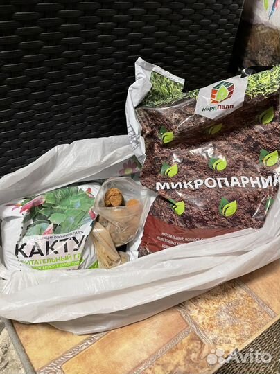 Грунт для растений