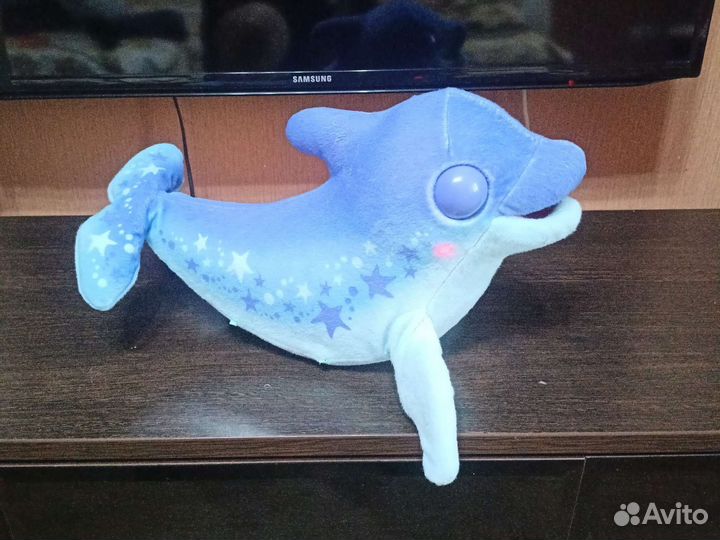 Дельфин долли