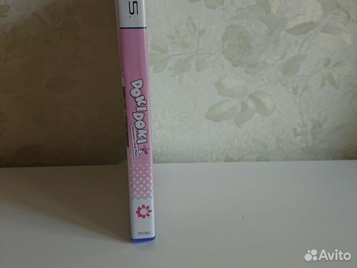 Doki doki literature club plus. Ps5