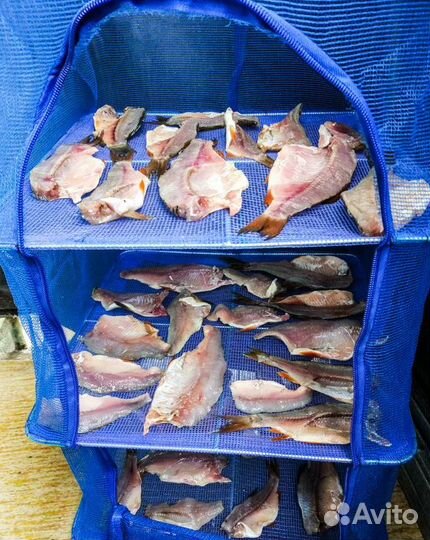 Сушилка для рыбы, овощей и трав подвесная