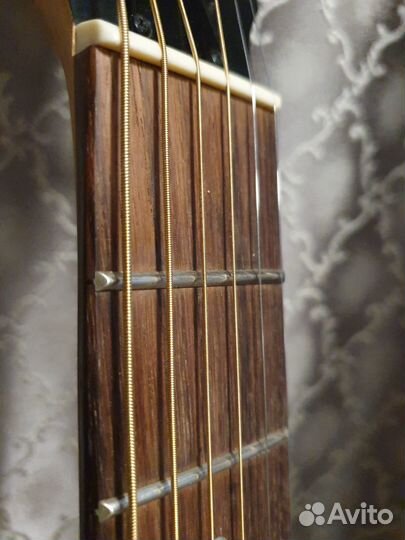 Travel Yamaha APX T1