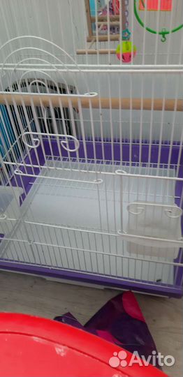 Клетка для попугая
