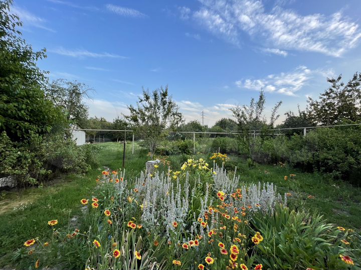 Дом 37 м² на участке 12 сот.