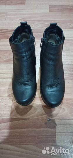 Сапоги осень весна женские