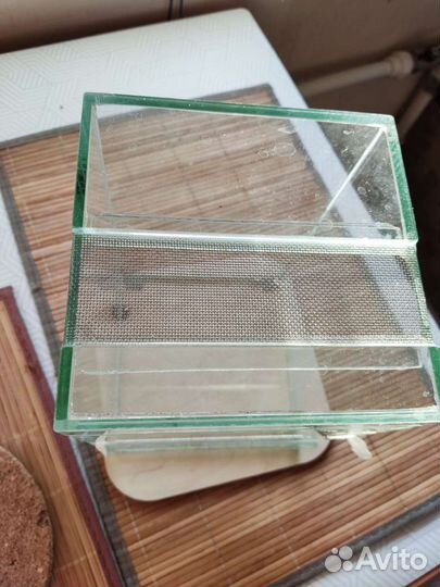 Аквариум для растений