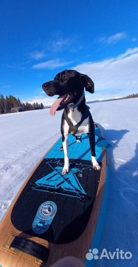 Все модели сапбордов tourus SUP