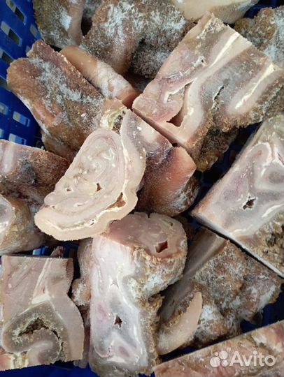 Мясо и кости для собак