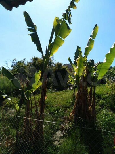 Дом 170 м² на участке 6 сот.