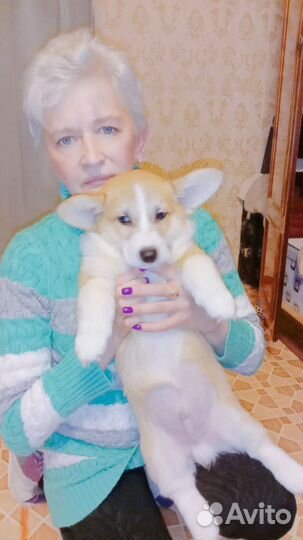 Торговый работник