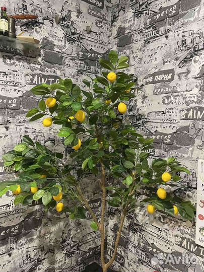 Лимонное дерево искусственное