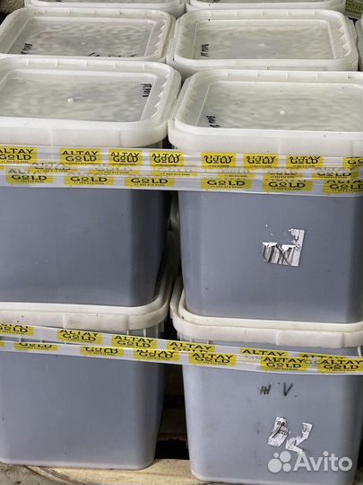 Темное разнотравье. свежий мед оптом