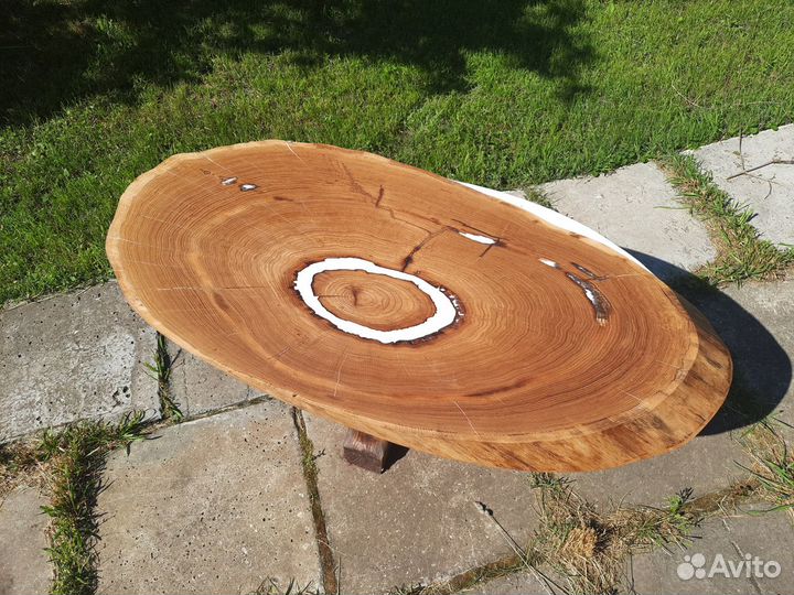 Поперечный спил дуба