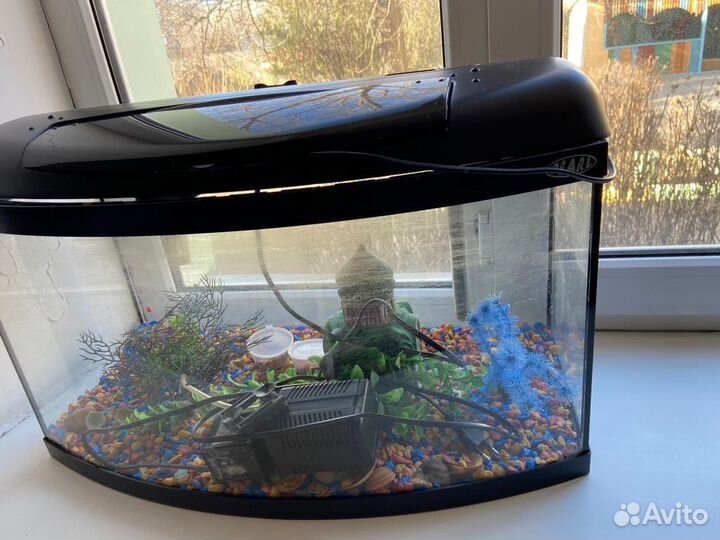 Аквариум