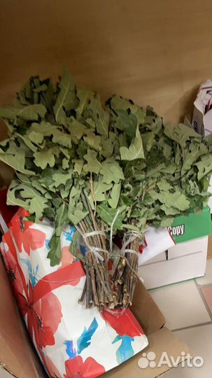 Веники дубовые для бани