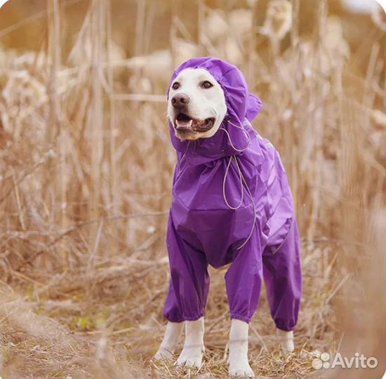 Дождевик для крупной собаки