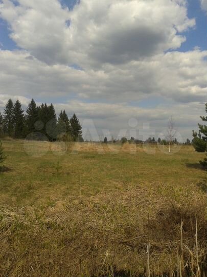 Участок 15 сот. (ИЖС)