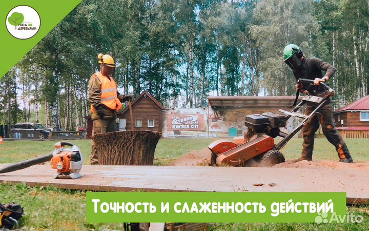 Спилить дерево в Арзамасе