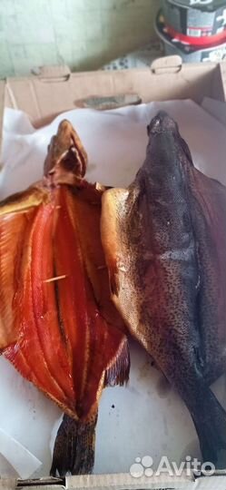 Рыба свежая и свежемороженая сырок