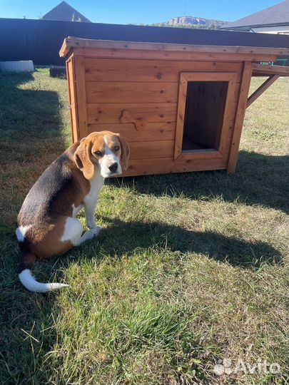 Будка для собаки утепленная