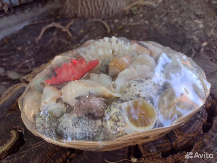 Декор ракушки корзинка