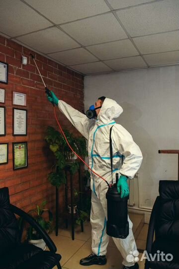 Дезинфекция, дератизация