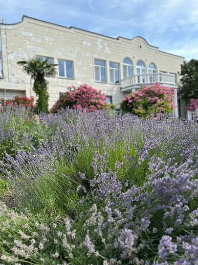 Дом 585 м² на участке 100 сот.