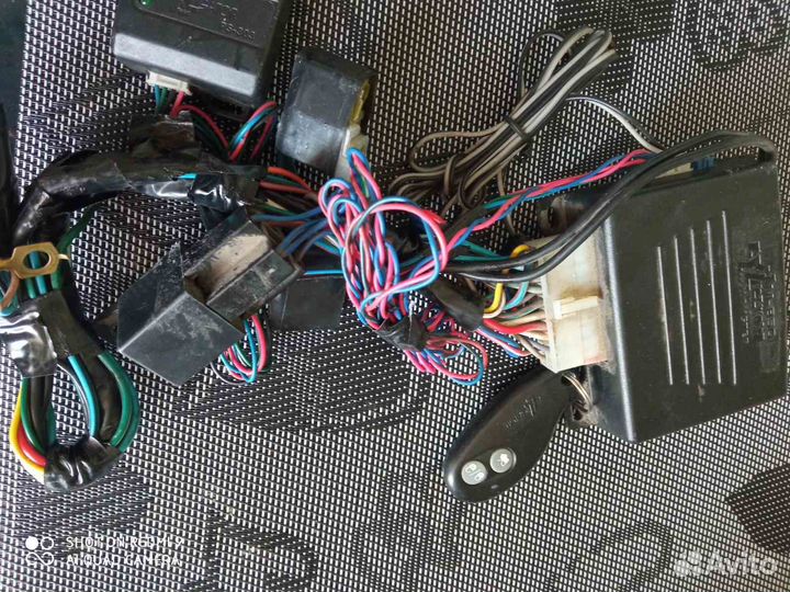 Сигнализация alligator