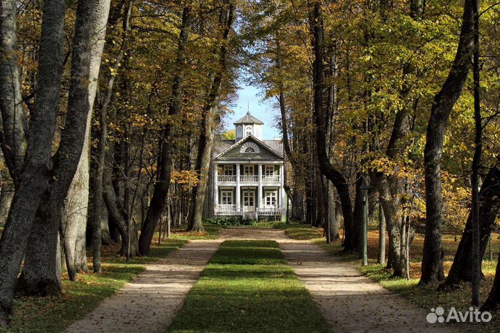 Индивидуальные экскурсии по Пушкинским Горам