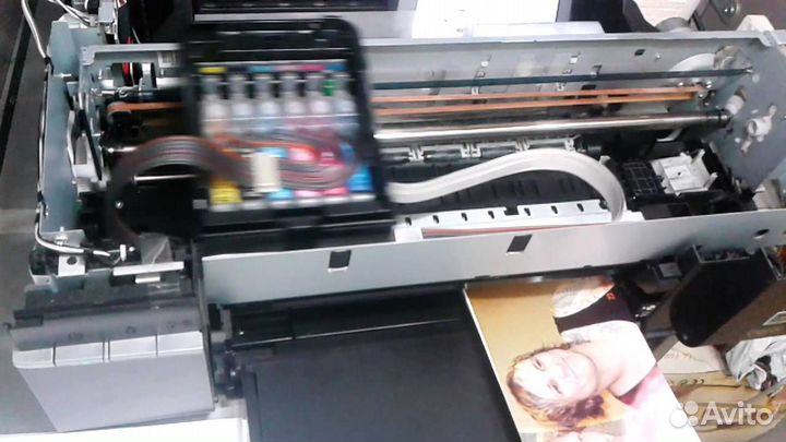Принтер Epson Stylus Photo P50