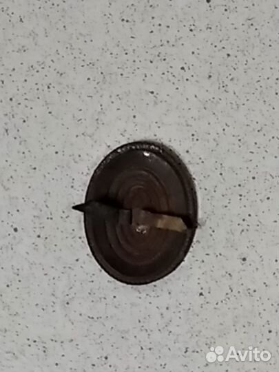 Кокарда риа