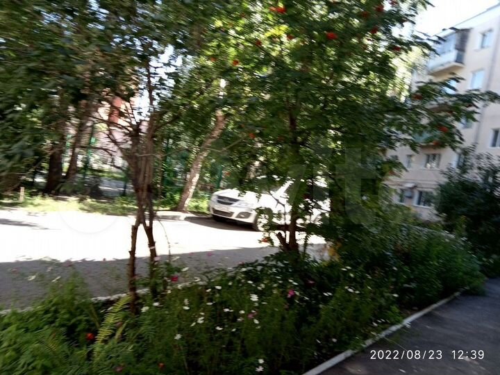 3-к. квартира, 73,5 м², 2/4 эт.