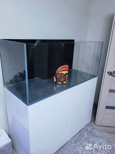 Аквариумный компоект 300 литров