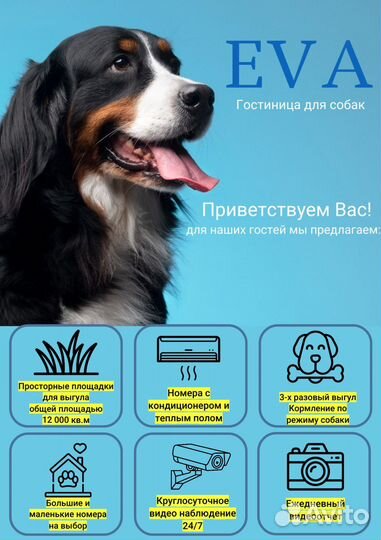 Передержка для собак