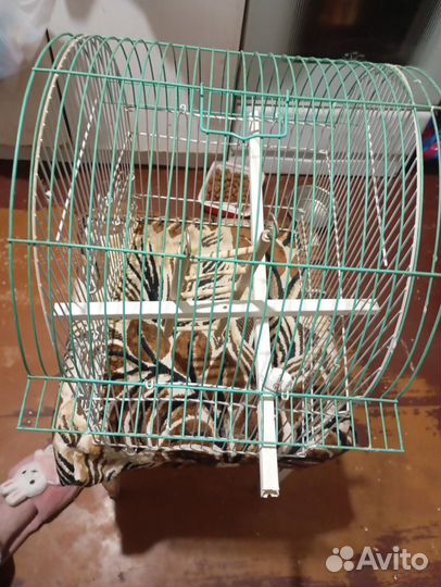 Клетка для попугаев