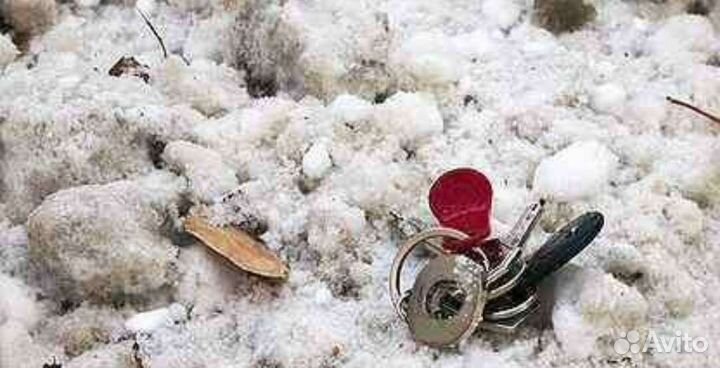 Услуги металлоискателя